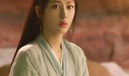 杨紫最新爆料律师,揭秘娱乐圈背后法律维权真相