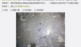 重庆天气最新爆料,局部地区暴雨预警！